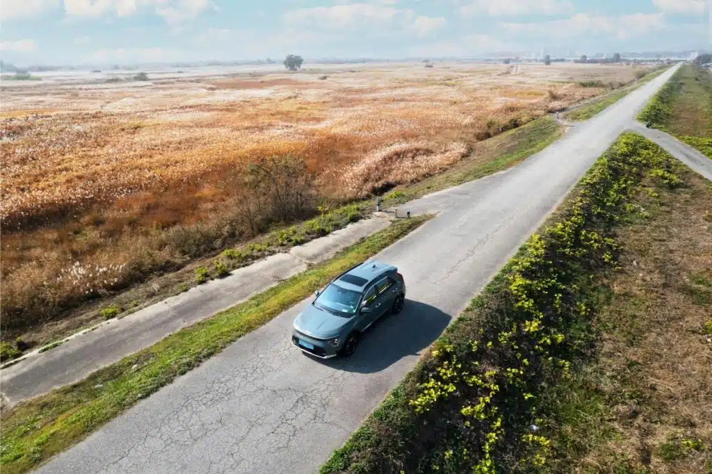 A car cruising along a road flanked by golden reeds, symbolizing the journey and opportunities of leveraging a title loan in Florida.